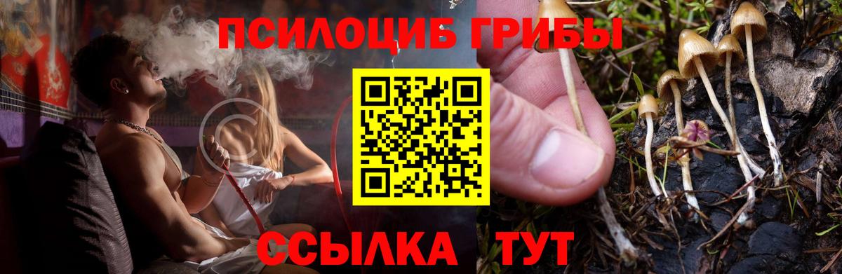 Галлюциногенные грибы мицелий  наркотики  Можайск  Псилоцибиновые грибы Magic Shrooms  Вход с VPN 